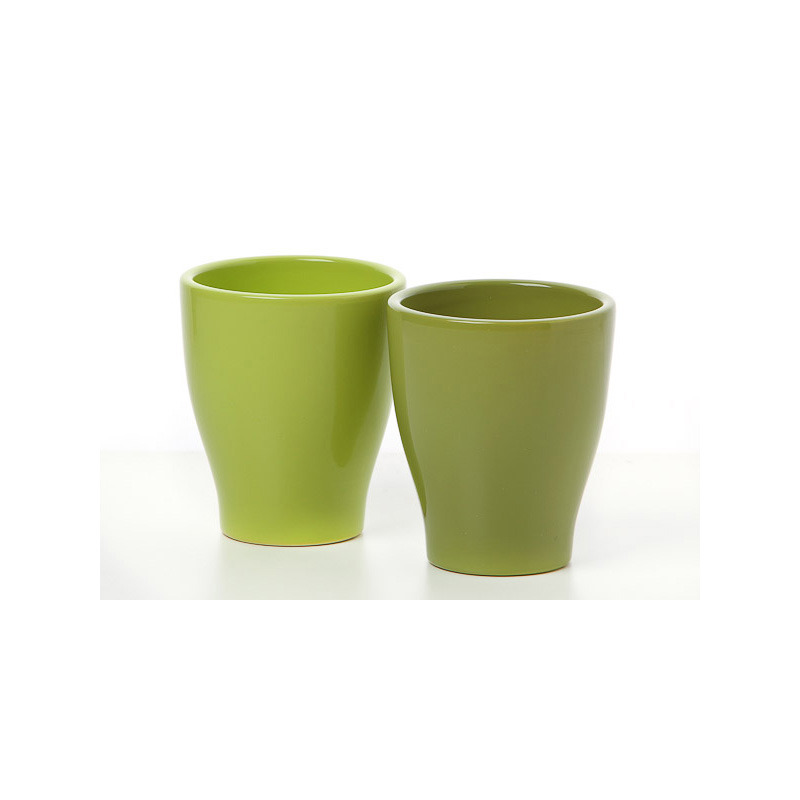 orchidea v&aacute;za z&ouml;ld mix 8cm fűz&ouml;ld-bambuszz&ouml;ld