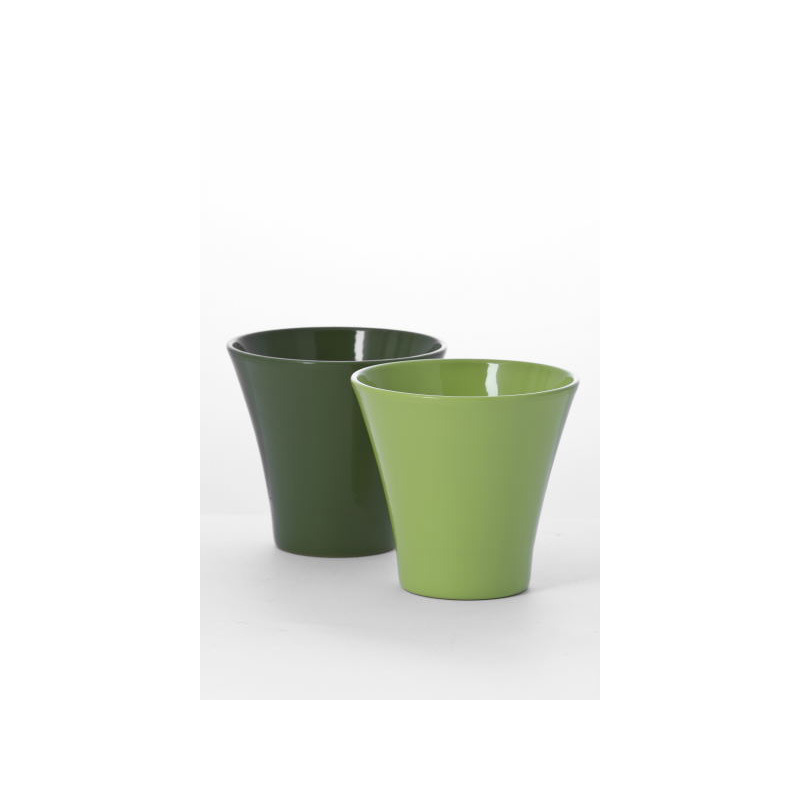 orchidea v&aacute;za z&ouml;ld mix 15cm s&ouml;t&eacute;tz&ouml;ld-vil&aacute;gosz&ouml;ld-z&ouml;ld