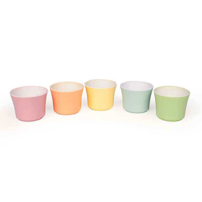 primula kaspó matt mix 12cm