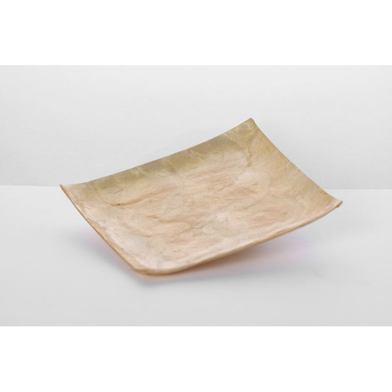 sz&ouml;gletes halpikkely t&aacute;l barack 14x14cm